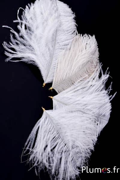 Ciondolo testa di struzzo - 17-20 cm - bianco-crema